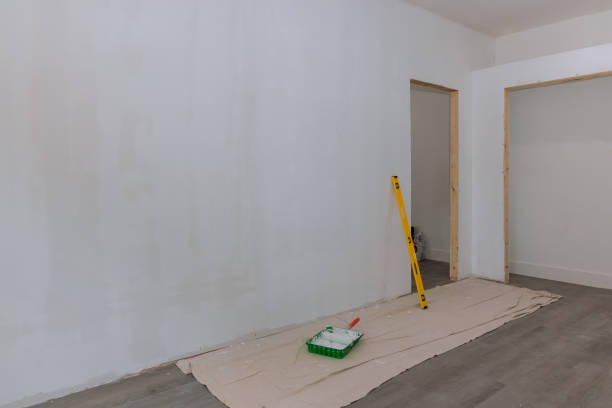 Best Mold Removal for HVAC Installations  in Vamo, FL