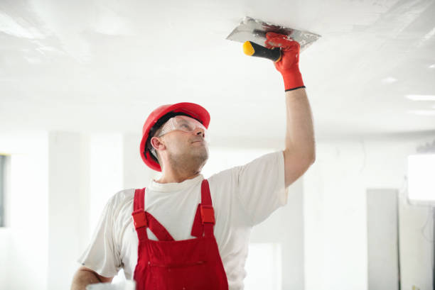 Best Basement Mold Removal  in Vamo, FL