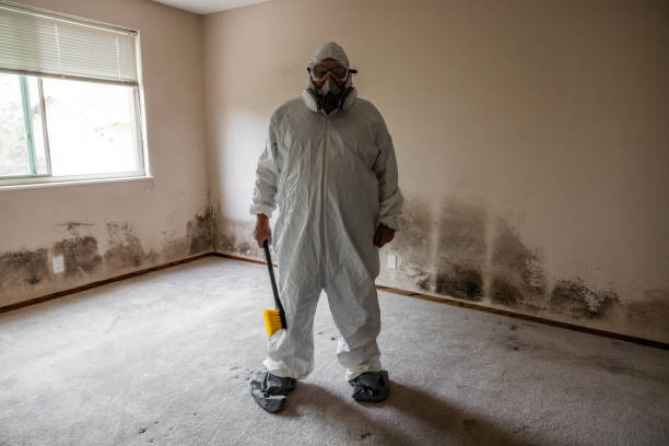 Best Air Quality Testing for Mold Spores  in Vamo, FL